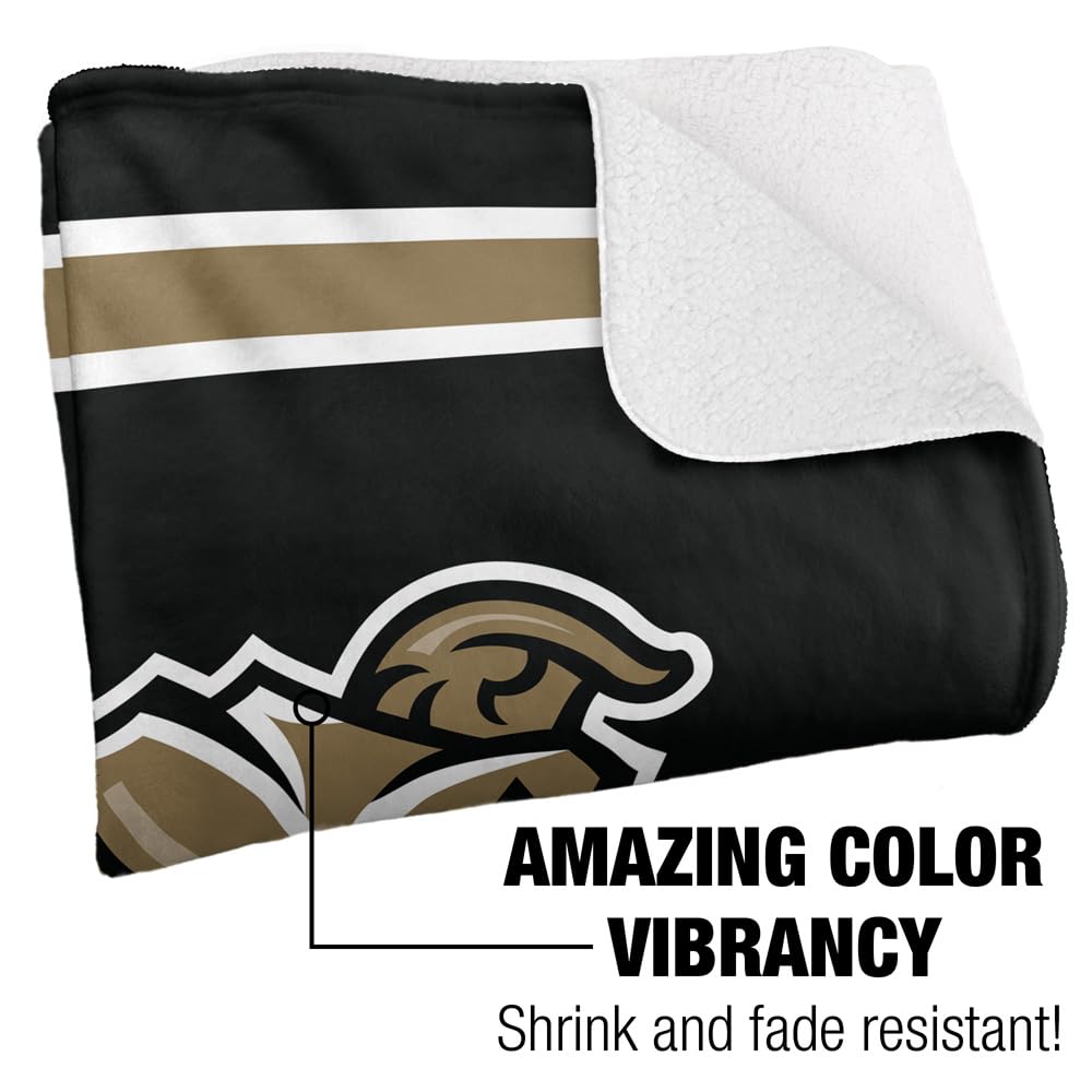 LOGOVISION Official Collegiate Primary Logo Collection Silky Touch Sherpa Back Super Soft Throw Blanket Collection - Image 3